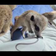 ヒメ日記 2025/09/02 06:18 投稿 みのり　男を狂わせる黒髪美女 今ドキ マットMAX