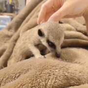 ヒメ日記 2025/09/02 19:29 投稿 みのり　男を狂わせる黒髪美女 今ドキ マットMAX