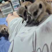 ヒメ日記 2025/09/02 23:19 投稿 みのり　男を狂わせる黒髪美女 今ドキ マットMAX