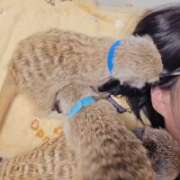 ヒメ日記 2025/09/07 06:03 投稿 みのり　男を狂わせる黒髪美女 今ドキ マットMAX