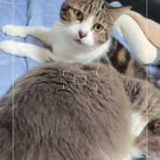 ヒメ日記 2025/09/08 07:48 投稿 みのり　男を狂わせる黒髪美女 今ドキ マットMAX