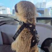 ヒメ日記 2025/09/09 21:31 投稿 みのり　男を狂わせる黒髪美女 今ドキ マットMAX