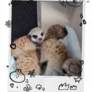 ヒメ日記 2025/09/10 22:38 投稿 みのり　男を狂わせる黒髪美女 今ドキ マットMAX