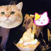 ヒメ日記 2025/09/20 16:53 投稿 みのり　男を狂わせる黒髪美女 今ドキ マットMAX