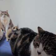 ヒメ日記 2025/09/21 14:47 投稿 みのり　男を狂わせる黒髪美女 今ドキ マットMAX