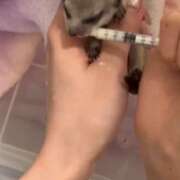 ヒメ日記 2025/09/26 07:18 投稿 みのり　男を狂わせる黒髪美女 今ドキ マットMAX