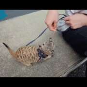 ヒメ日記 2025/10/05 13:41 投稿 みのり　男を狂わせる黒髪美女 今ドキ マットMAX