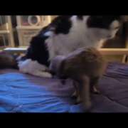 ヒメ日記 2025/10/05 17:53 投稿 みのり　男を狂わせる黒髪美女 今ドキ マットMAX