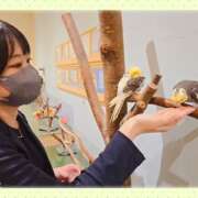 ヒメ日記 2025/10/10 06:18 投稿 みのり 男を狂わせる黒髪美女 今ドキ マットMAX