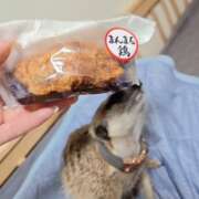 ヒメ日記 2025/10/10 06:31 投稿 みのり 男を狂わせる黒髪美女 今ドキ マットMAX