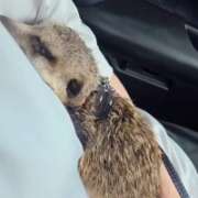 ヒメ日記 2025/10/11 08:42 投稿 みのり 男を狂わせる黒髪美女 今ドキ マットMAX