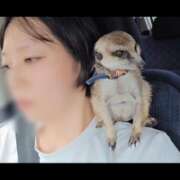 ヒメ日記 2025/10/11 12:57 投稿 みのり 男を狂わせる黒髪美女 今ドキ マットMAX