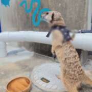 ヒメ日記 2025/10/11 15:43 投稿 みのり 男を狂わせる黒髪美女 今ドキ マットMAX