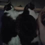 ヒメ日記 2025/10/12 08:39 投稿 みのり 男を狂わせる黒髪美女 今ドキ マットMAX