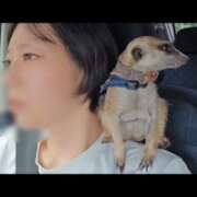 ヒメ日記 2025/10/14 23:19 投稿 みのり　男を狂わせる黒髪美女 今ドキ マットMAX