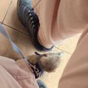 ヒメ日記 2025/10/15 07:37 投稿 みのり　男を狂わせる黒髪美女 今ドキ マットMAX