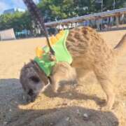 ヒメ日記 2025/10/16 08:06 投稿 みのり　男を狂わせる黒髪美女 今ドキ マットMAX