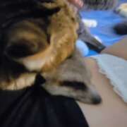 ヒメ日記 2025/10/16 21:41 投稿 みのり　男を狂わせる黒髪美女 今ドキ マットMAX