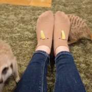 ヒメ日記 2025/10/18 17:04 投稿 みのり　男を狂わせる黒髪美女 今ドキ マットMAX