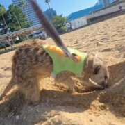 ヒメ日記 2025/10/18 17:07 投稿 みのり　男を狂わせる黒髪美女 今ドキ マットMAX