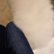 ヒメ日記 2025/10/20 07:35 投稿 みのり 男を狂わせる黒髪美女 今ドキ マットMAX