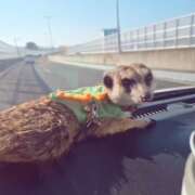 ヒメ日記 2025/10/21 07:05 投稿 みのり 男を狂わせる黒髪美女 今ドキ マットMAX