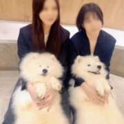 ヒメ日記 2025/10/25 15:25 投稿 みのり　男を狂わせる黒髪美女 今ドキ マットMAX