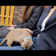 ヒメ日記 2025/10/25 16:53 投稿 みのり　男を狂わせる黒髪美女 今ドキ マットMAX