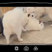 ヒメ日記 2025/10/26 10:12 投稿 みのり　男を狂わせる黒髪美女 今ドキ マットMAX