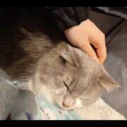 ヒメ日記 2025/10/26 18:28 投稿 みのり　男を狂わせる黒髪美女 今ドキ マットMAX