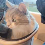 ヒメ日記 2025/10/28 07:04 投稿 みのり　男を狂わせる黒髪美女 今ドキ マットMAX