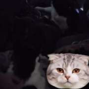 ヒメ日記 2025/10/28 07:42 投稿 みのり　男を狂わせる黒髪美女 今ドキ マットMAX