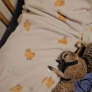 ヒメ日記 2025/10/28 22:48 投稿 みのり　男を狂わせる黒髪美女 今ドキ マットMAX