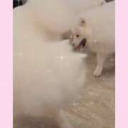 ヒメ日記 2025/10/29 21:57 投稿 みのり　男を狂わせる黒髪美女 今ドキ マットMAX