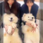 ヒメ日記 2025/10/30 08:05 投稿 みのり　男を狂わせる黒髪美女 今ドキ マットMAX