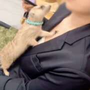 ヒメ日記 2025/11/02 15:46 投稿 みのり　男を狂わせる黒髪美女 今ドキ マットMAX