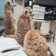 ヒメ日記 2025/11/03 21:16 投稿 みのり　男を狂わせる黒髪美女 今ドキ マットMAX