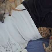 ヒメ日記 2025/11/04 12:22 投稿 みのり　男を狂わせる黒髪美女 今ドキ マットMAX