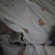 ヒメ日記 2025/11/07 22:39 投稿 みのり　男を狂わせる黒髪美女 今ドキ マットMAX