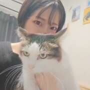 ヒメ日記 2025/11/08 20:37 投稿 みのり　男を狂わせる黒髪美女 今ドキ マットMAX