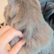 ヒメ日記 2025/11/10 19:57 投稿 みのり　男を狂わせる黒髪美女 今ドキ マットMAX