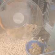 ヒメ日記 2025/11/18 09:22 投稿 みのり　男を狂わせる黒髪美女 今ドキ マットMAX