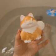 ヒメ日記 2025/11/19 22:37 投稿 みのり　男を狂わせる黒髪美女 今ドキ マットMAX