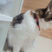 ヒメ日記 2025/11/19 22:54 投稿 みのり　男を狂わせる黒髪美女 今ドキ マットMAX