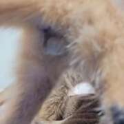 ヒメ日記 2025/11/21 07:18 投稿 みのり　男を狂わせる黒髪美女 今ドキ マットMAX