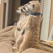 ヒメ日記 2025/11/21 07:33 投稿 みのり　男を狂わせる黒髪美女 今ドキ マットMAX