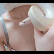 ヒメ日記 2025/11/21 21:41 投稿 みのり　男を狂わせる黒髪美女 今ドキ マットMAX