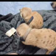 ヒメ日記 2025/11/21 23:38 投稿 みのり　男を狂わせる黒髪美女 今ドキ マットMAX