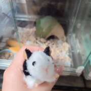 ヒメ日記 2025/11/22 20:14 投稿 みのり　男を狂わせる黒髪美女 今ドキ マットMAX