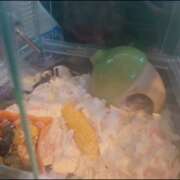 ヒメ日記 2025/11/23 12:28 投稿 みのり　男を狂わせる黒髪美女 今ドキ マットMAX